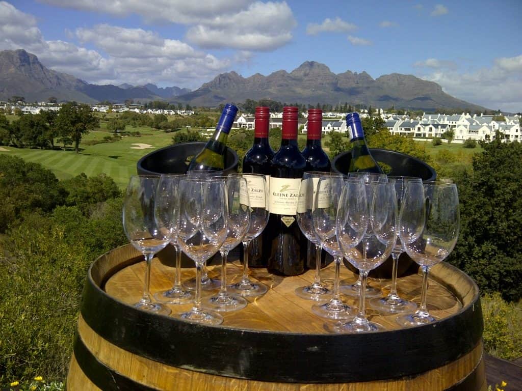 picnic-7-Kopia-1024x768