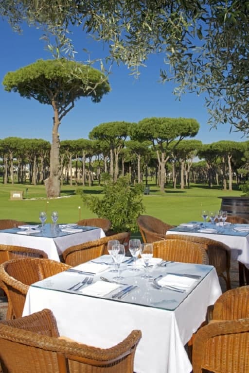 Novosanctipetri_halfway3-Kopia